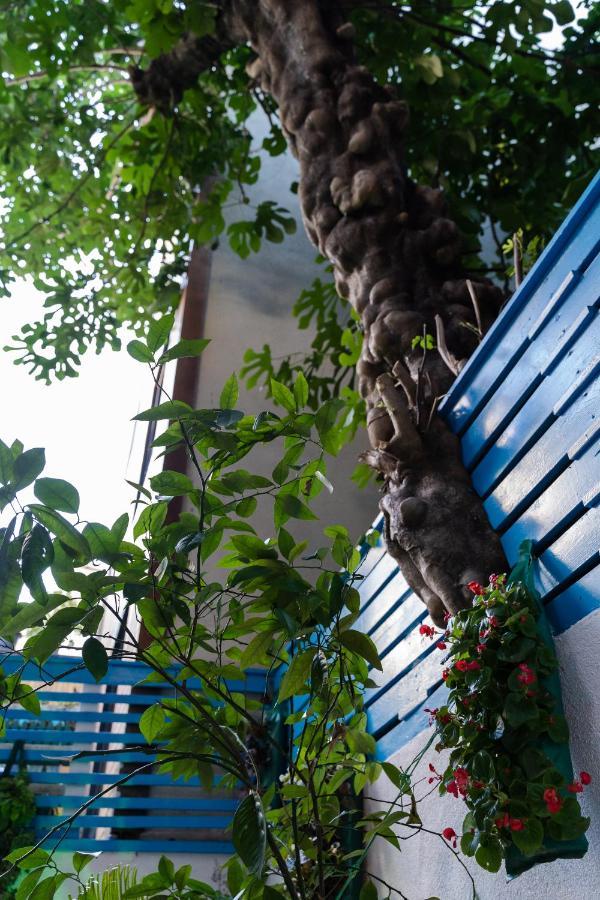 Hotel şebnem 3*